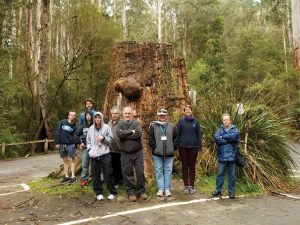 disability travel - winter escape victoria