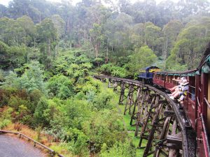 holiday for people with disabilities - yarra ranges nature lovers victoria